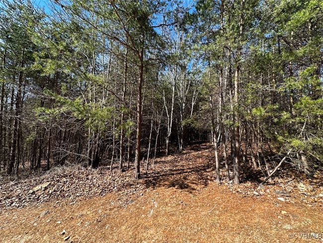 30.19 Acres (Off Of) Belvedere Dr, Home with 0 bedrooms, 0 bathrooms and null parking in Fieldale VA | Image 15