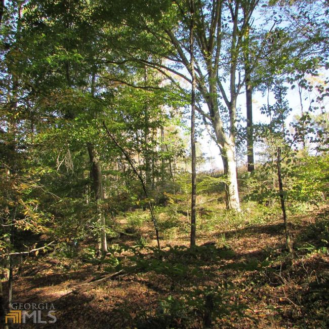 TRACT 2 Coldwater Creek Rd, Home with 0 bedrooms, 0 bathrooms and null parking in Dewy Rose GA | Image 13