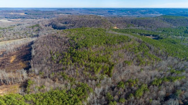 0 Rock Creek Rd, Home with 0 bedrooms, 0 bathrooms and null parking in Eva AL | Image 11