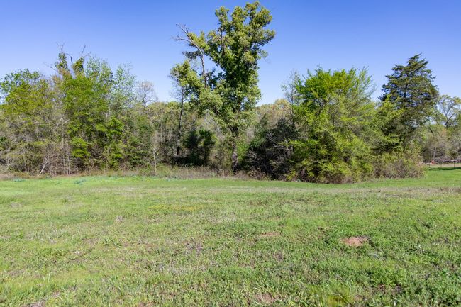 16808 Ridgeline Loop, Home with 0 bedrooms, 0 bathrooms and null parking in Winona TX | Image 11