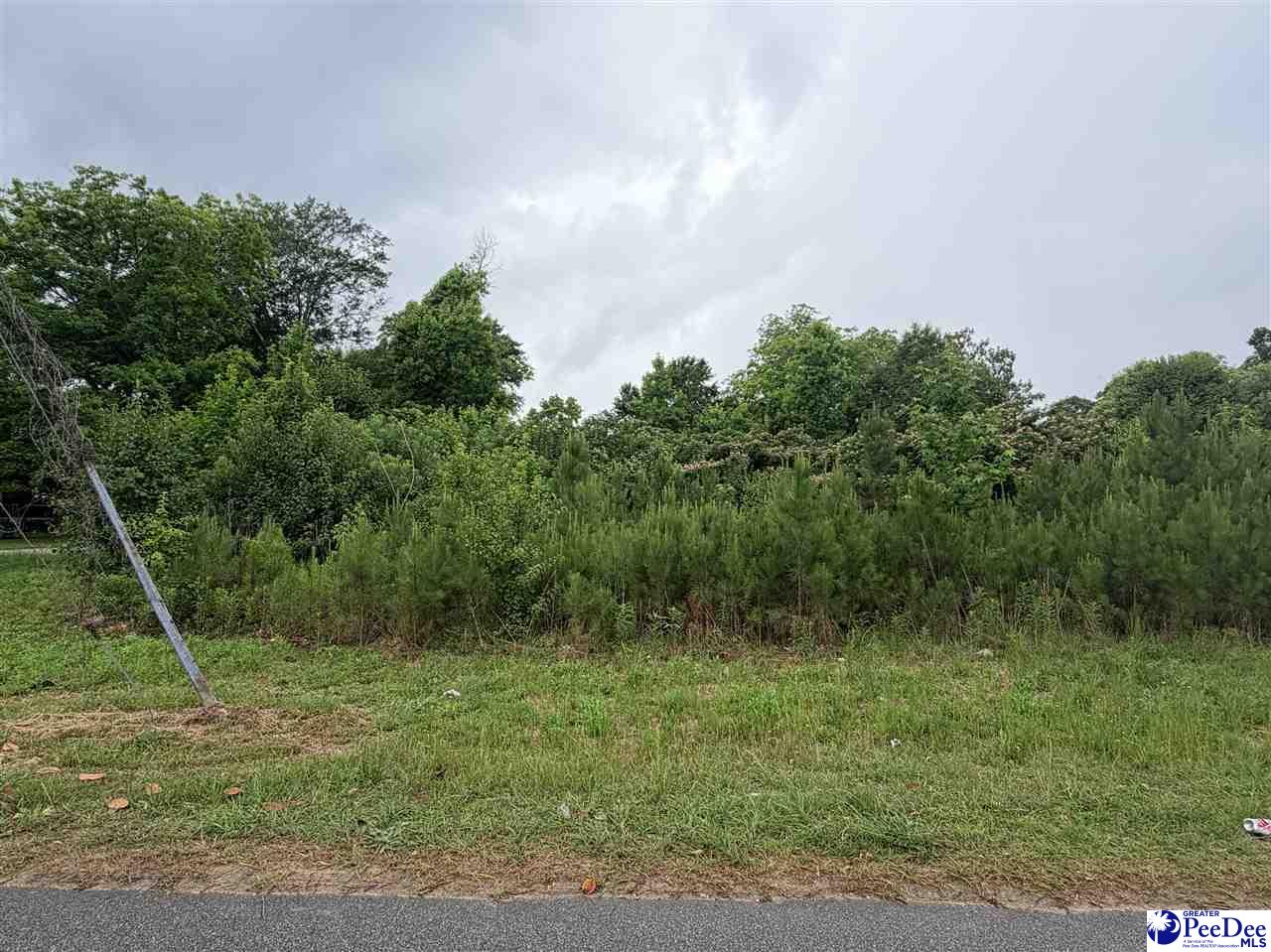 Land in Lake View 5