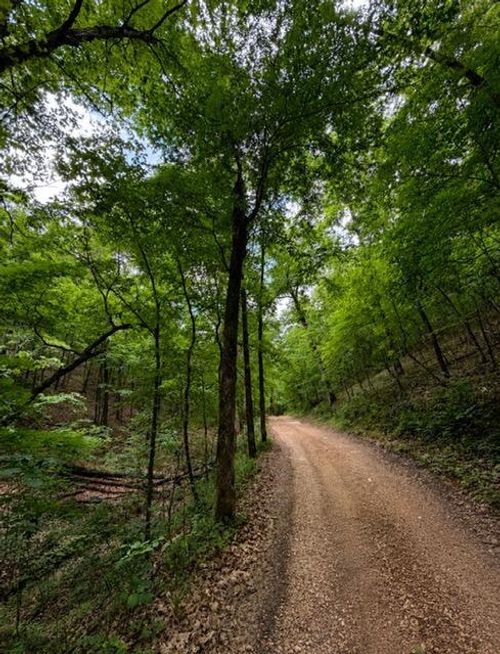 000 Oak Thicket Ln, Galena, MO, 65656 | Card Image