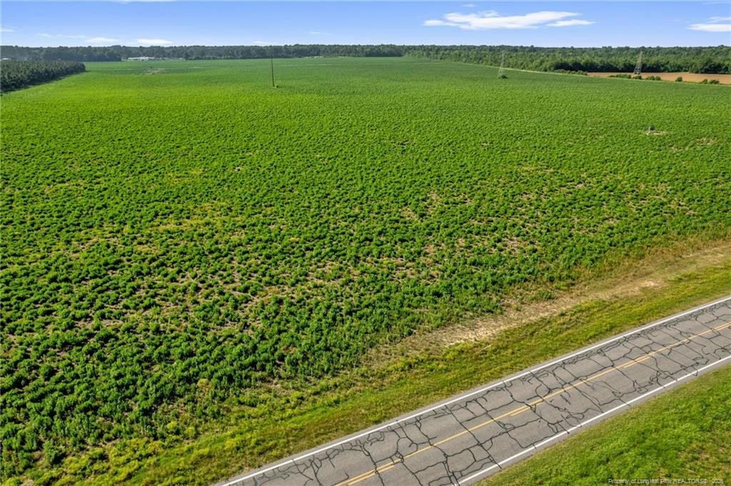 Land in Shannon 4
