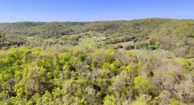 1657 Terrapin Branch Rd, House other with 3 bedrooms, 2 bathrooms and null parking in Mount Pleasant TN | Image 45