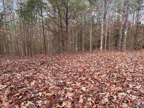 10 ac Pennywinkle Creek Lane, Cherokee, AL, 35616 | Card Image