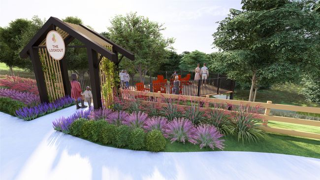 Beazer Homes Treeline | Image 16