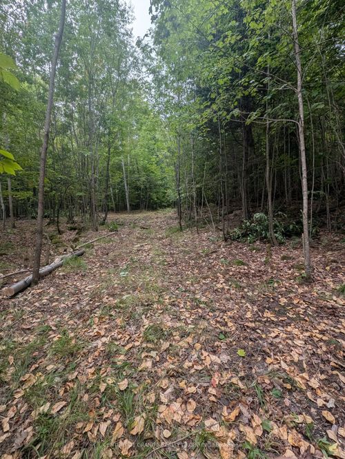 00 Kamaniskeg Lake Rd, Combermere, ON, K0J1L0 | Card Image