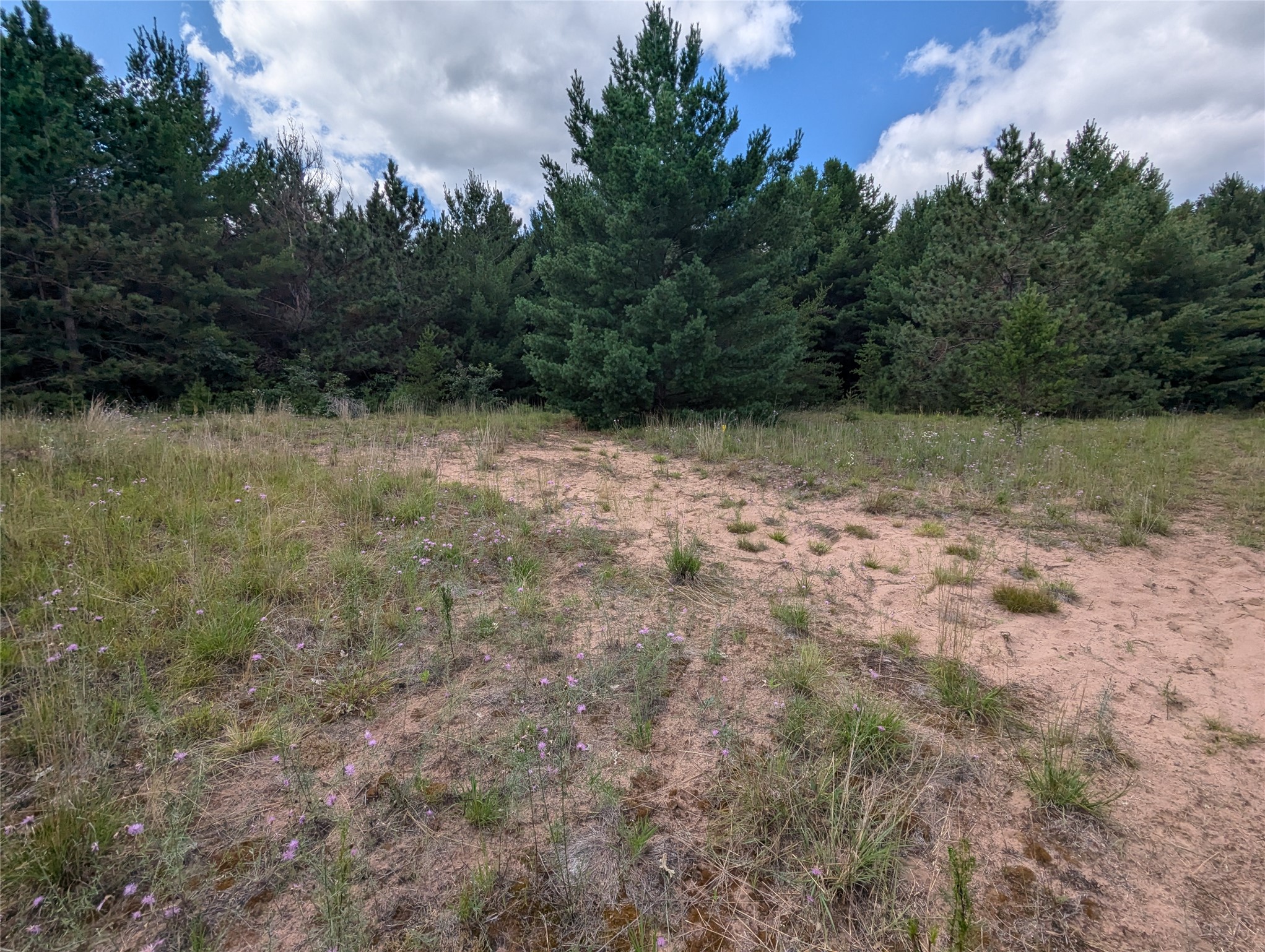 Land in Webster 3