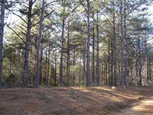 Lot 1 Parkview Dr, Ellisville, MS, 39437-7224 | Card Image