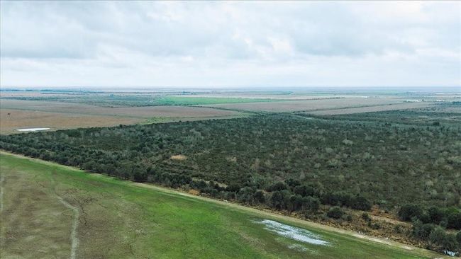 0000 Gulfway Dr, Home with 0 bedrooms, 0 bathrooms and null parking in Stowell TX | Image 10