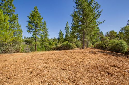 16480 Ponderosa Way, Volcano, CA, 95689 | Card Image