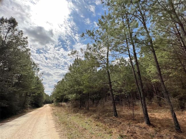 7 Fm 1746, Home with 0 bedrooms, 0 bathrooms and null parking in Spurger TX | Image 15