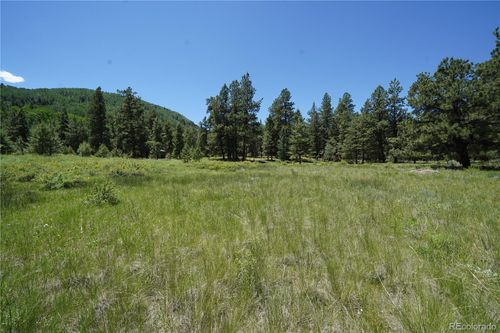 136 Elk Meadow Run, Antonito, CO, 81120 | Card Image