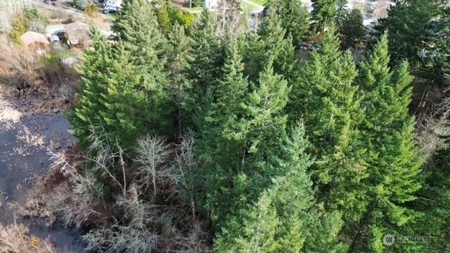 701 Iron St, Home with 0 bedrooms, 0 bathrooms and null parking in Eatonville WA | Image 4