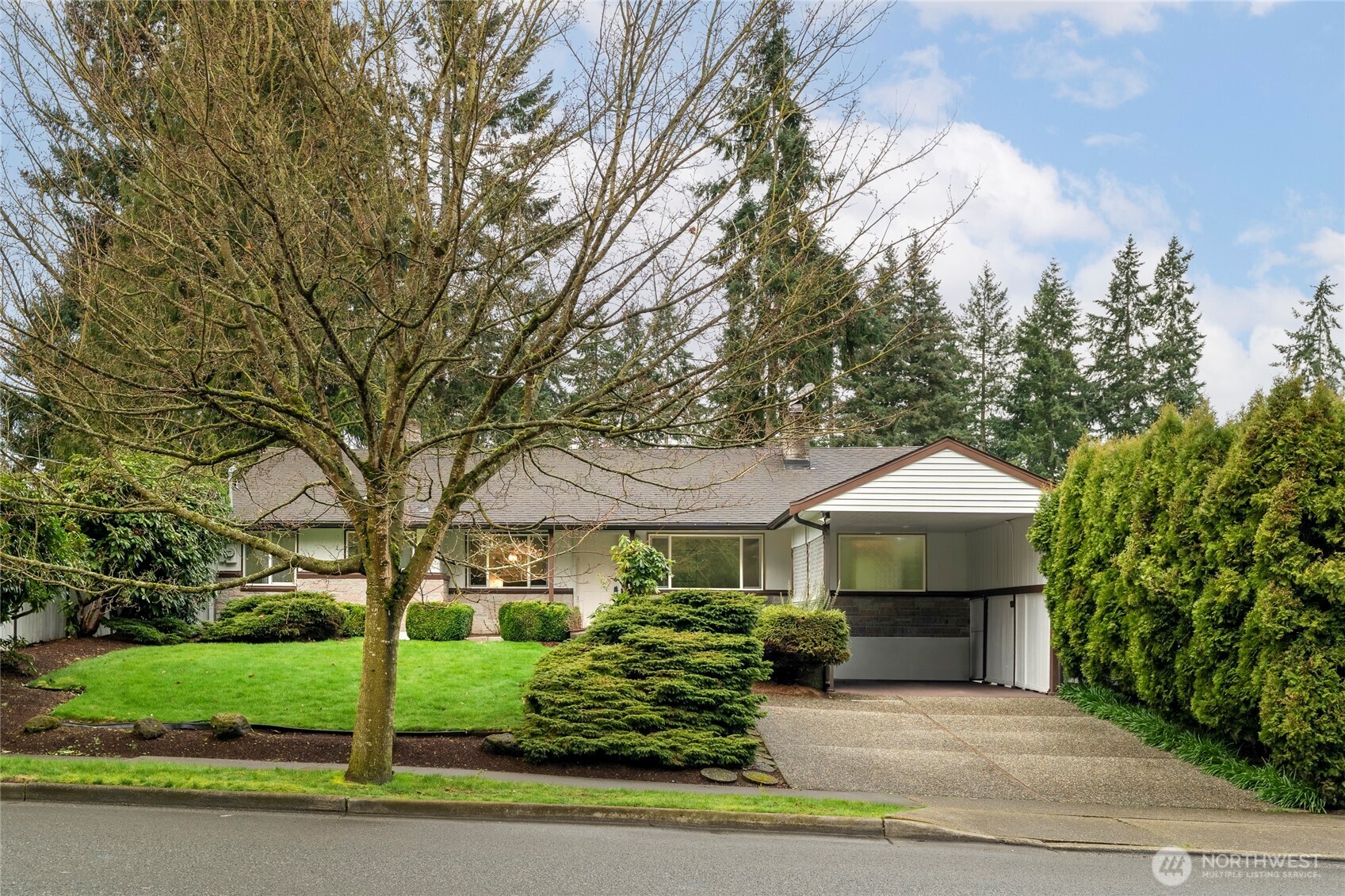 Residential in Shoreline