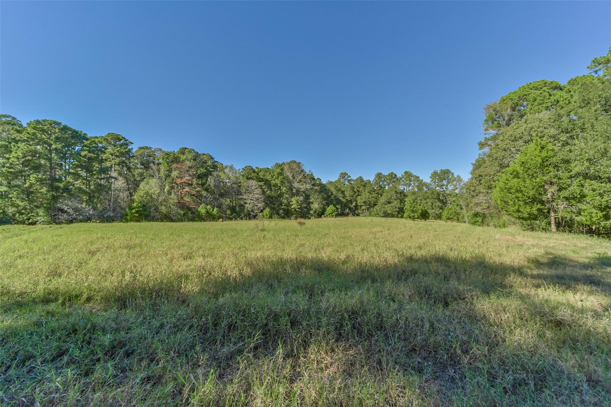 Land in New Waverly 2