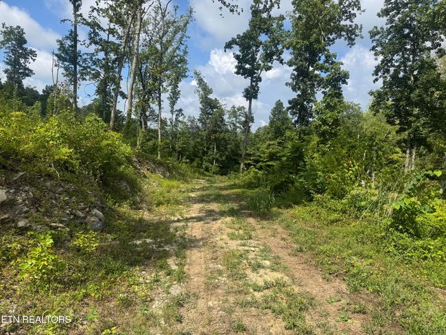 1 Mill Creek Rd, Home with 0 bedrooms, 0 bathrooms and null parking in Andersonville TN | Image 5