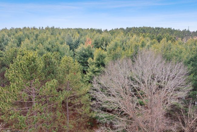 1598 240 Th Ave, Home with 0 bedrooms, 0 bathrooms and null parking in LUCK WI | Image 22