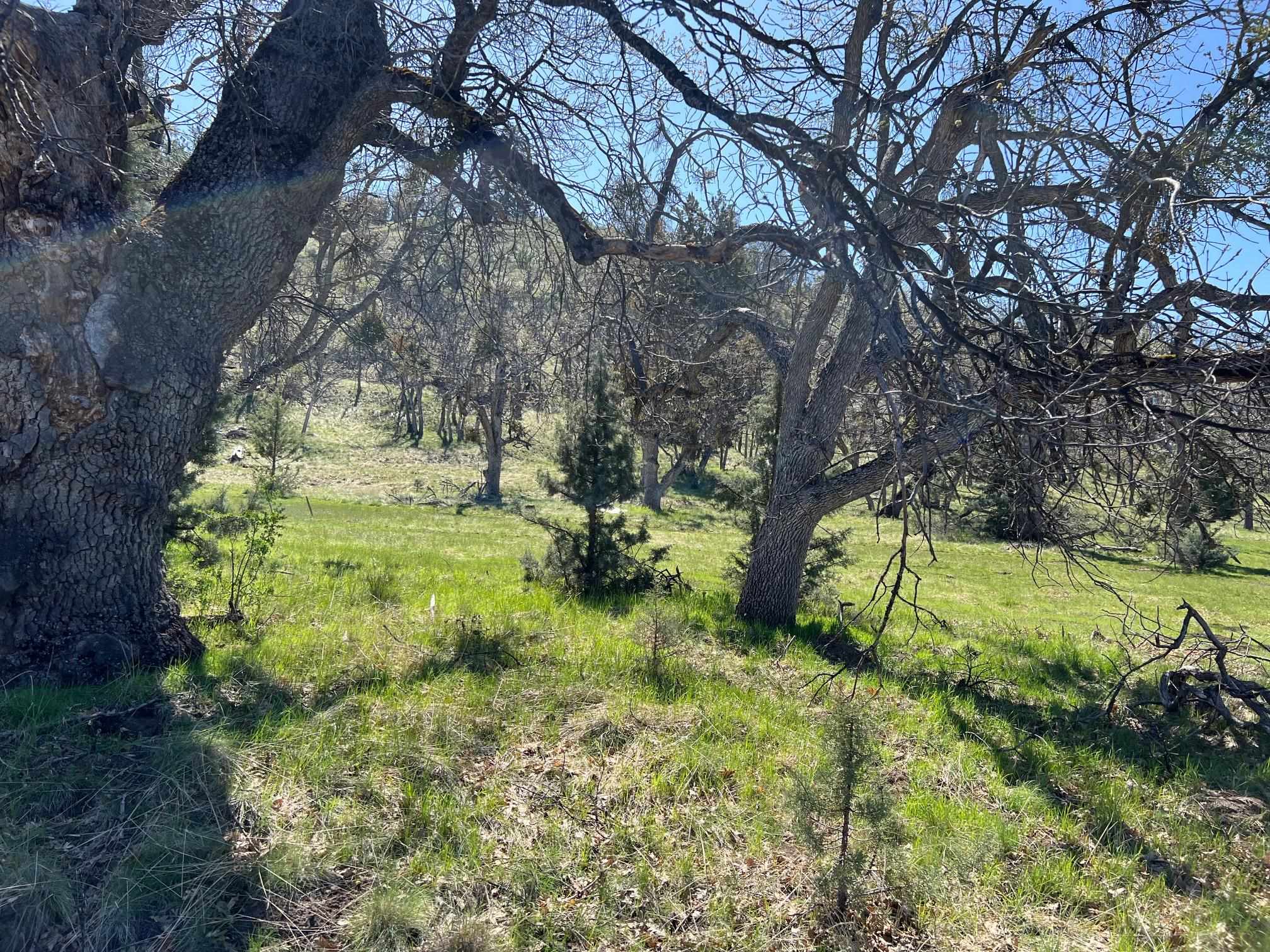 Land in Montague 3