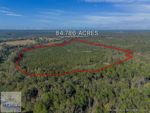 Tract 8 United Church Rd, Jacksonville, GA, 31544 | Card Image