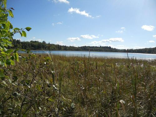 TBD County 118 Nw, Backus, MN, 56435 | Card Image