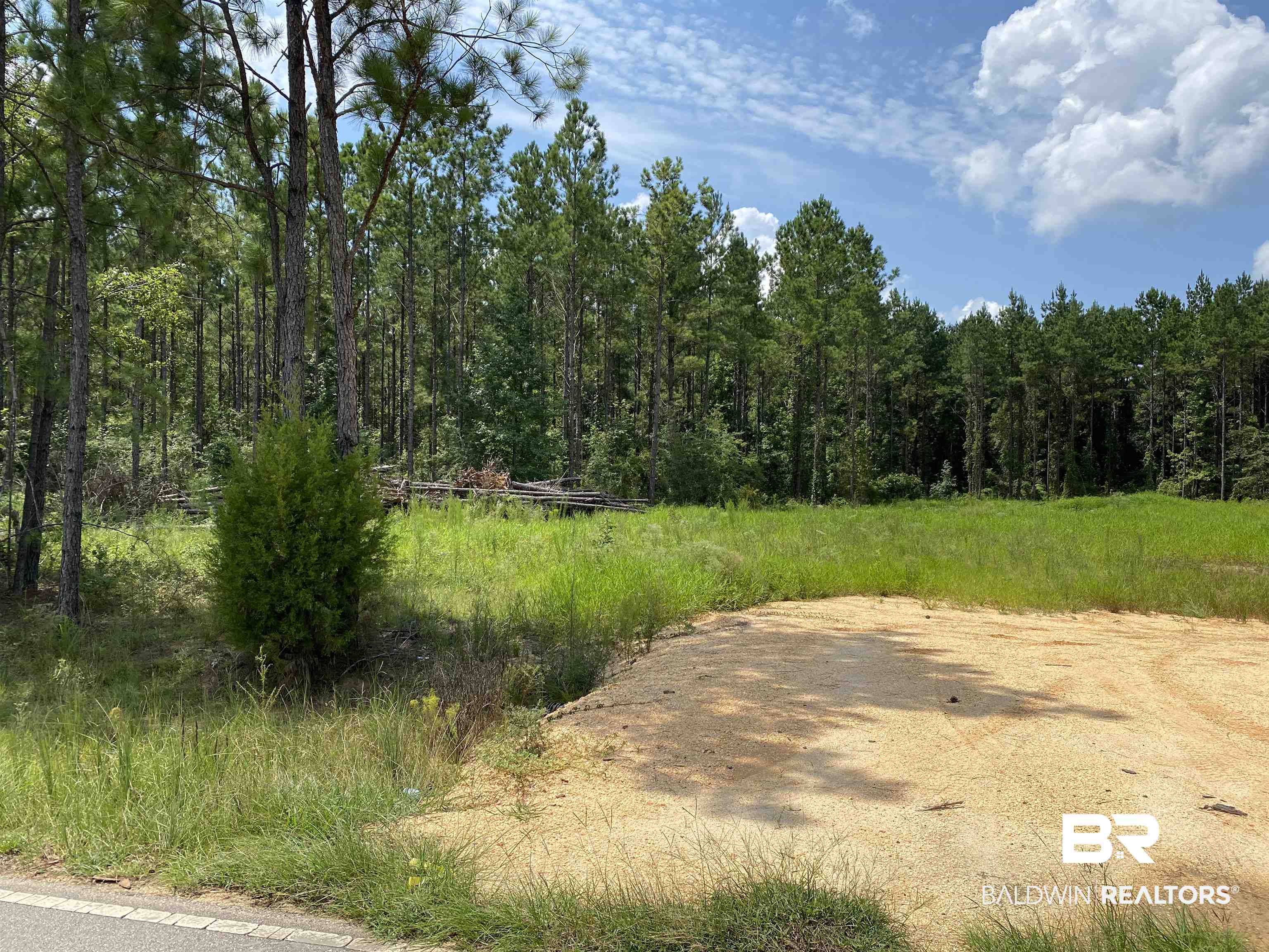 Land in Atmore 3