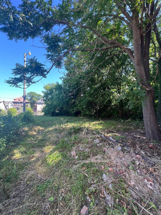 207 Connecticut St, House other with 3 bedrooms, 1 bathrooms and null parking in Highland Park MI | Image 4