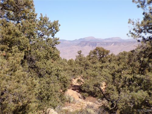 Lot 170 Trap Springs, Hackberry, AZ, 86411 | Card Image