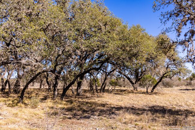 2400 Little Dry Frio Rd, Home with 0 bedrooms, 0 bathrooms and null parking in Rio Frio TX | Image 11