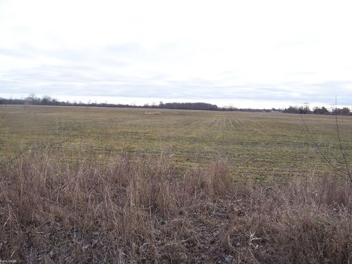 Lot D Stoddard Rd, Columbus, MI, 48063 | Card Image
