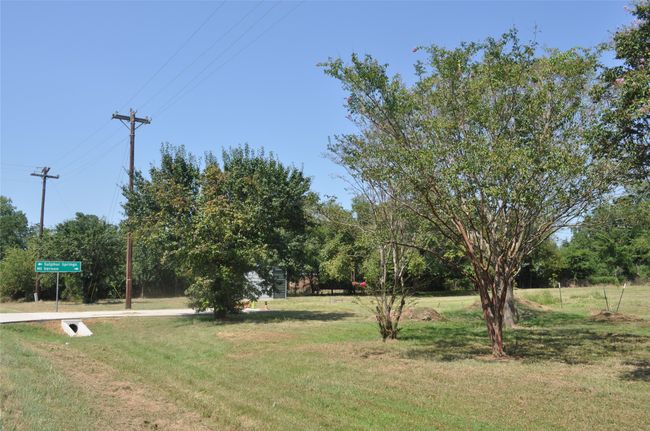View of yard | Image 23