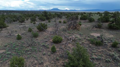 20-20 Horseshoe Cir, Quemado, NM, 87829 | Card Image