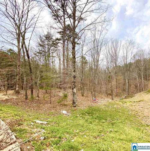 64-0 Karah Dr, MOODY, AL, 35004 | Card Image