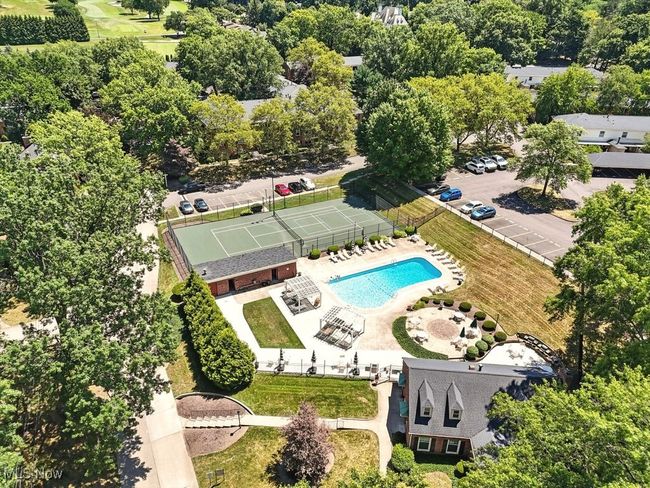 your shared pool! | Image 12