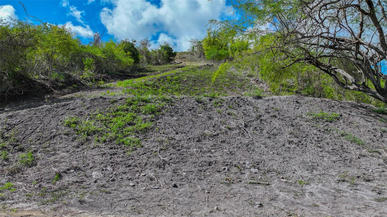 Land for sale in SABANA GRANDE, 121 ROAD 121