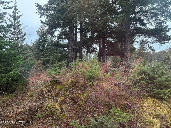 View of west side blueberry hill | Image 38