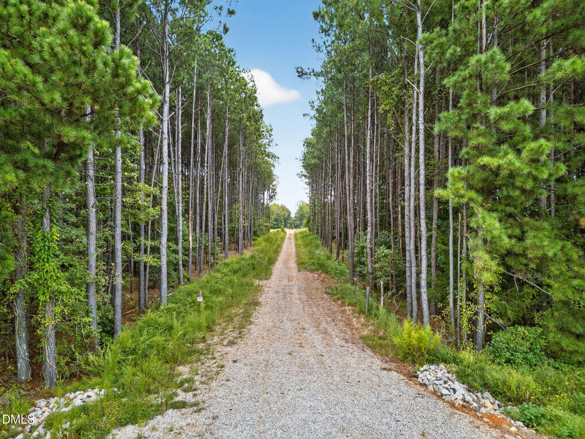 Land in Spring Hope 3