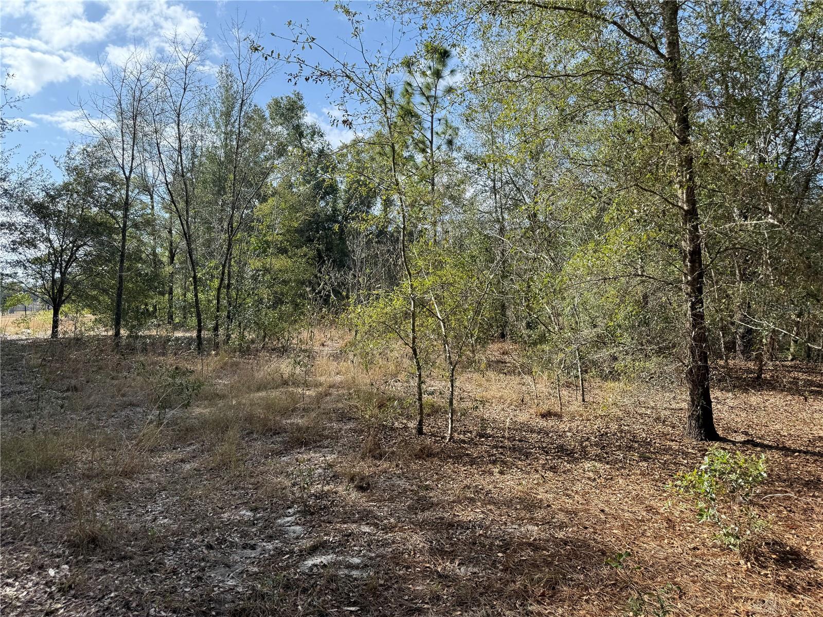 Land in BELLEVIEW 4