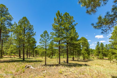 1590 E Castle Hills Dr, Flagstaff, AZ, 86005-2723 | Card Image