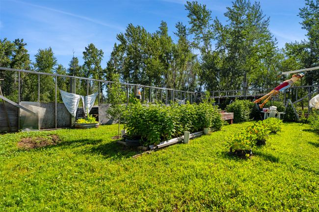View of green lawn featuring a vegetable garden | Image 17
