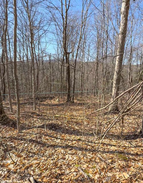 975 Stratton Arlington Rd, W Wardsboro, VT, 05360 | Card Image