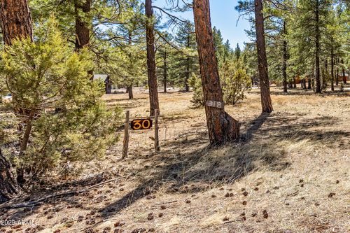 30-318 W Ava J Cir, Munds Park, AZ, 86017 | Card Image