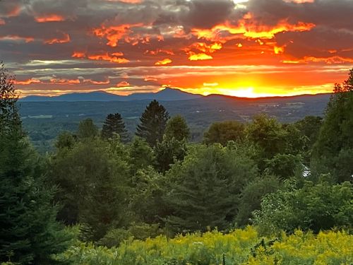 806 Maple Hill Rd, Plainfield, VT, 05667-9349 | Card Image