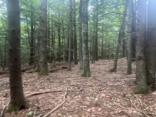 TBD Miso Way, Buxton, ME, 04093 | Card Image