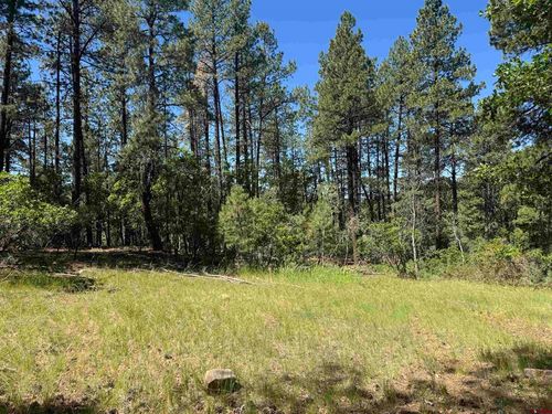 216 Fawn Dr, Bayfield, CO, 81122-9843 | Card Image