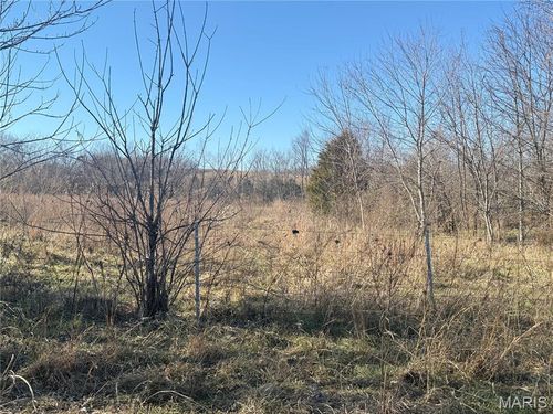 0 Bcr 352, Marble Hill, MO, 63764 | Card Image