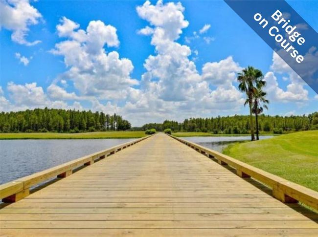 1809 Arbor Knoll Loop, House other with 3 bedrooms, 2 bathrooms and null parking in TRINITY FL | Image 29