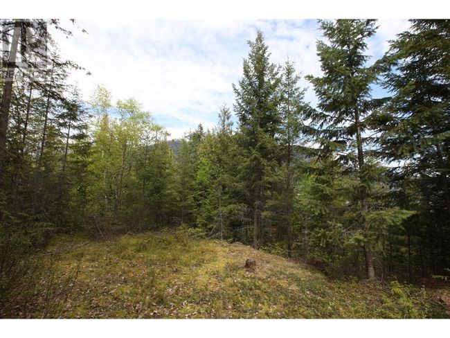 434 Lexington Ave, Home with 0 bedrooms, 0 bathrooms and null parking in Procter BC | Image 11