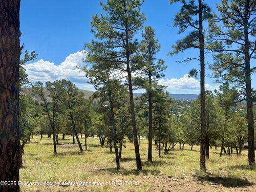 111 Topside Dr, Ruidoso, NM, 88345-5522 | Card Image
