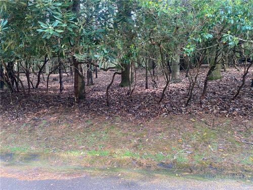 18-C Buchanan St, Glade Valley, NC, 28627-6018 | Card Image